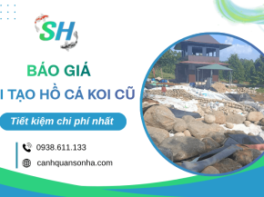Báo giá cải tạo hồ cá Koi cũ tiết kiệm chi phí nhất 