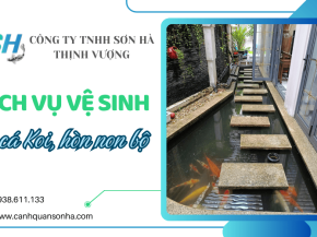 Dịch vụ vệ sinh hồ cá Koi, hòn non bộ chuyên nghiệp