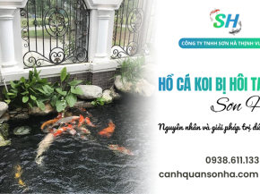 Hồ cá Koi bị hôi tanh: Nguyên nhân và giải pháp trị dứt điểm