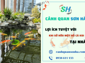 Lợi ích tuyệt vời khi sở hữu một hồ cá Koi tại nhà mà bạn chưa biết – Cảnh Quan Sơn Hà