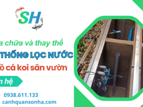 Dịch vụ sửa chữa và thay thế hệ thống lọc nước hồ cá Koi sân vườn