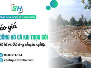 Báo giá thi công hồ cá Koi trọn gói mới nhất