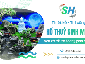 Thiết kế - thi công hồ thủy sinh mini đẹp và tối ưu không gian nhất 