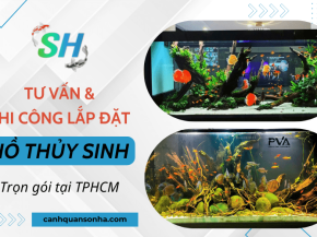 Dịch vụ tư vấn, thi công lắp đặt hồ thủy sinh trọn gói tại TPHCM uy tín
