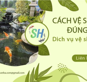 Cách vệ sinh hồ cá Koi đúng kỹ thuật – Dịch vụ vệ sinh hồ cá Koi tại nhà