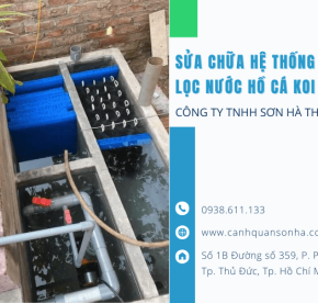 Dịch vụ sửa chữa hệ thống lọc nước hồ cá Koi sân vườn
