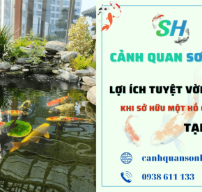 Lợi ích tuyệt vời khi sở hữu một hồ cá Koi tại nhà mà bạn chưa biết – Cảnh Quan Sơn Hà