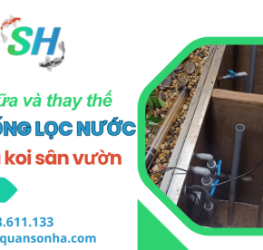 Dịch vụ sửa chữa và thay thế hệ thống lọc nước hồ cá Koi sân vườn