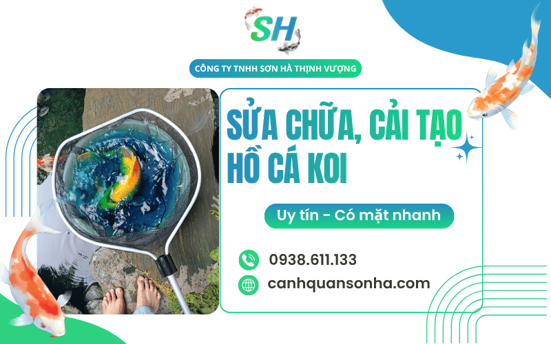 cải tạo hồ cá Koi