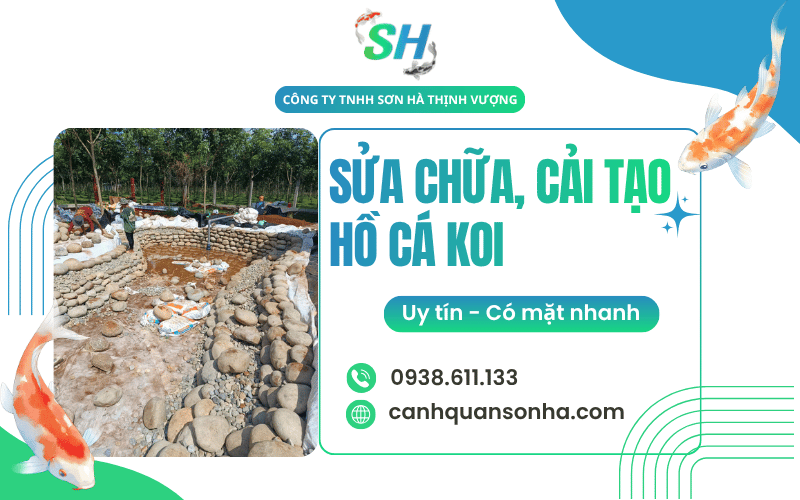 cải tạo hồ cá Koi