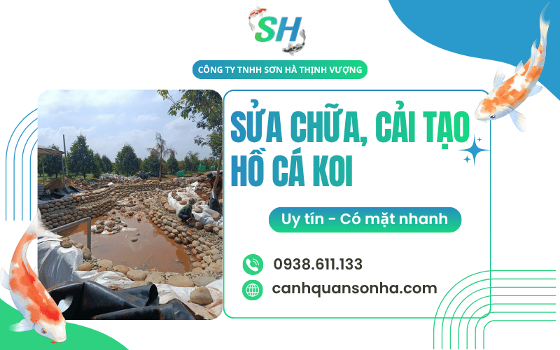 cải tạo hồ cá Koi