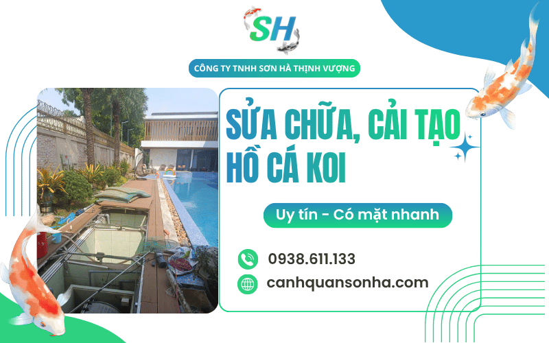 cải tạo hồ cá Koi