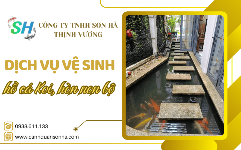 dịch vụ vệ sinh hồ cá Koi