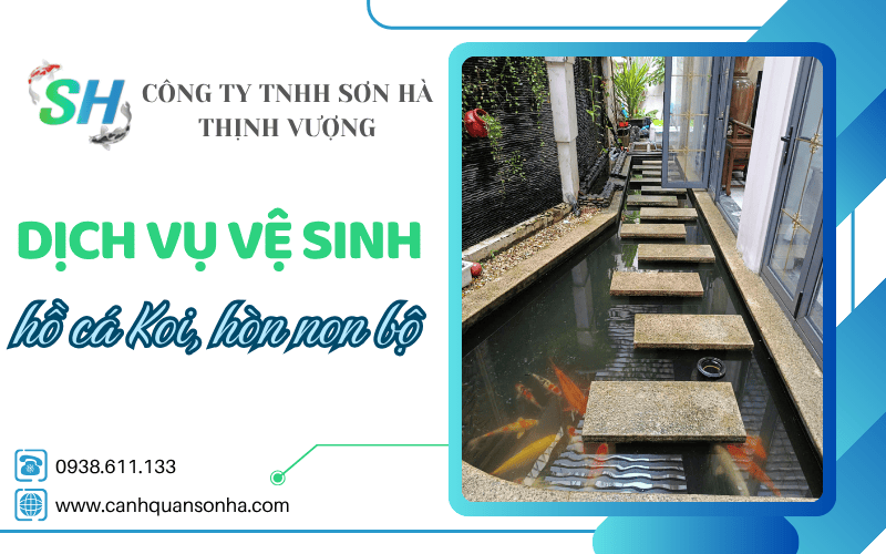 dịch vụ vệ sinh hồ cá Koi