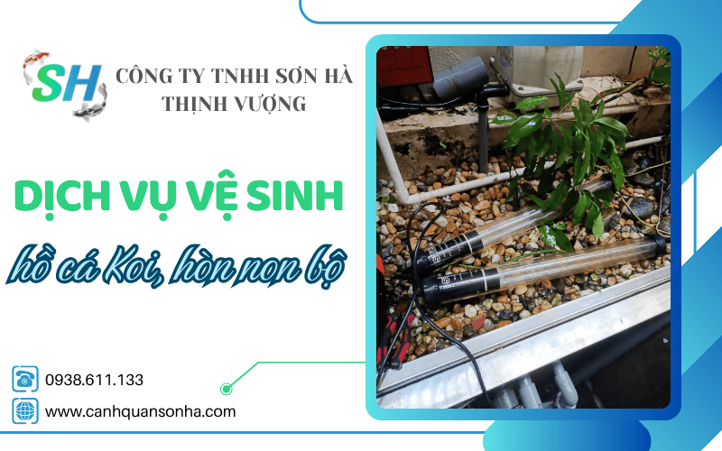 dịch vụ vệ sinh hồ cá Koi