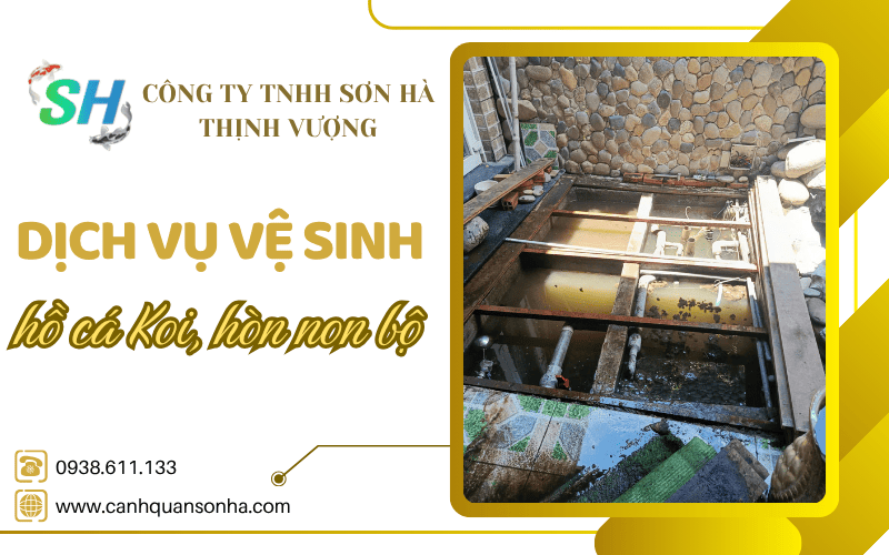 dịch vụ vệ sinh hồ cá Koi
