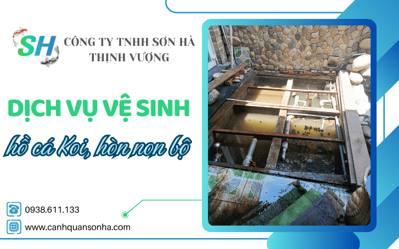 dịch vụ vệ sinh hồ cá Koi