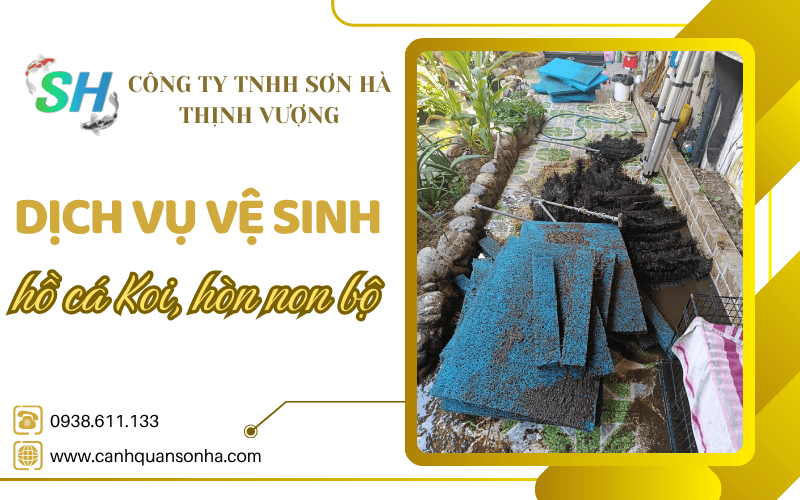 dịch vụ vệ sinh hồ cá Koi