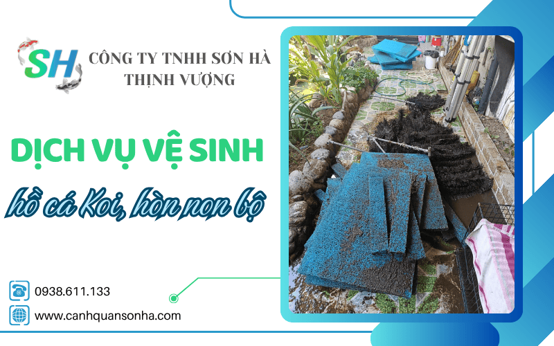 dịch vụ vệ sinh hồ cá Koi