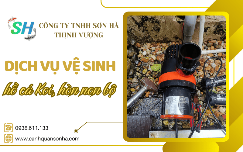 dịch vụ vệ sinh hồ cá Koi