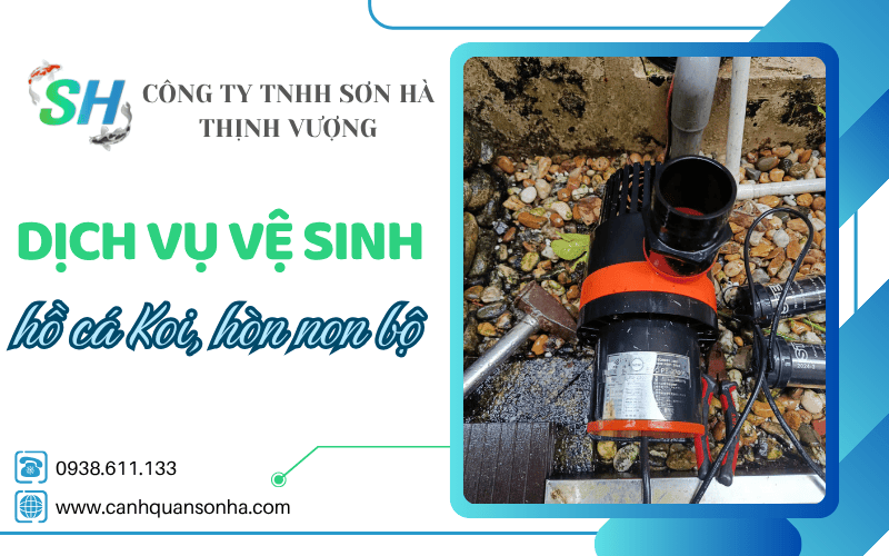 dịch vụ vệ sinh hồ cá Koi