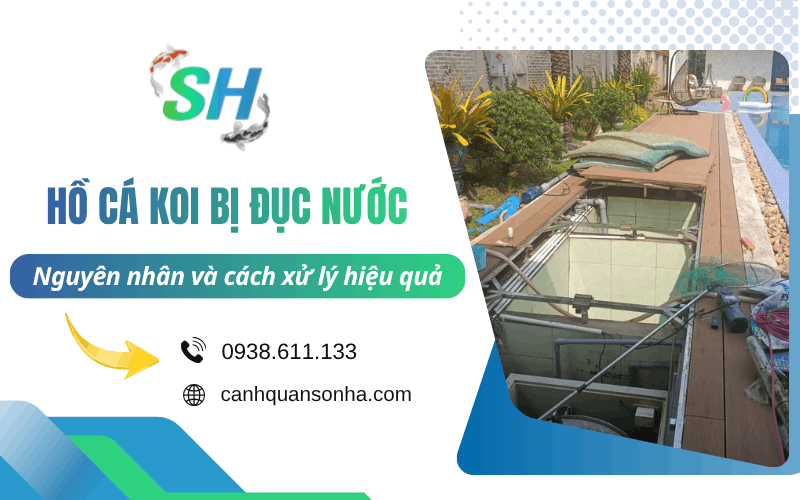 hồ cá Koi bị đục nước