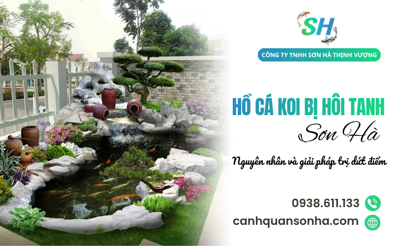hồ cá Koi bị hôi tanh