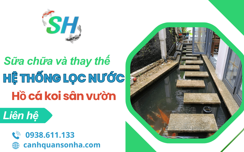 sửa chữa và thay thế hệ thống lọc nước hồ cá Koi
