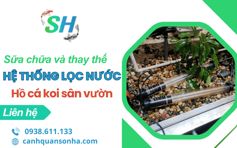 sửa chữa và thay thế hệ thống lọc nước hồ cá Koi