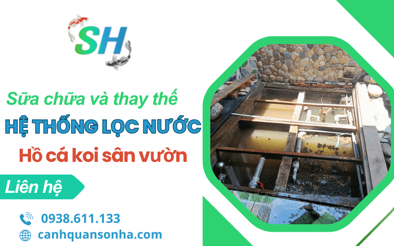 sửa chữa và thay thế hệ thống lọc nước hồ cá Koi