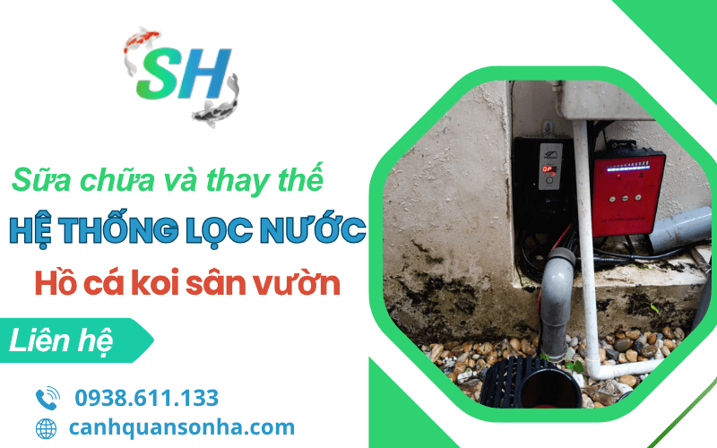sửa chữa và thay thế hệ thống lọc nước hồ cá Koi