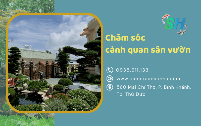 cảnh quan sân vườn