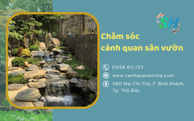 cảnh quan sân vườn