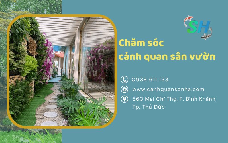 cảnh quan sân vườn