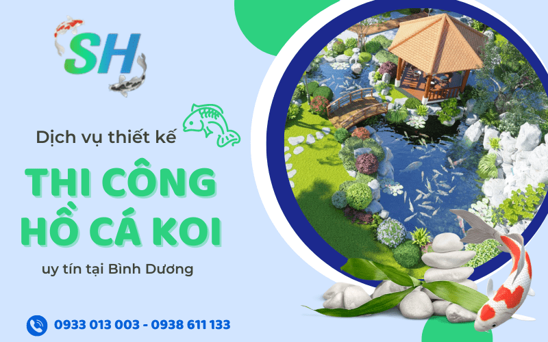 thiết kế thi công hồ cá koi