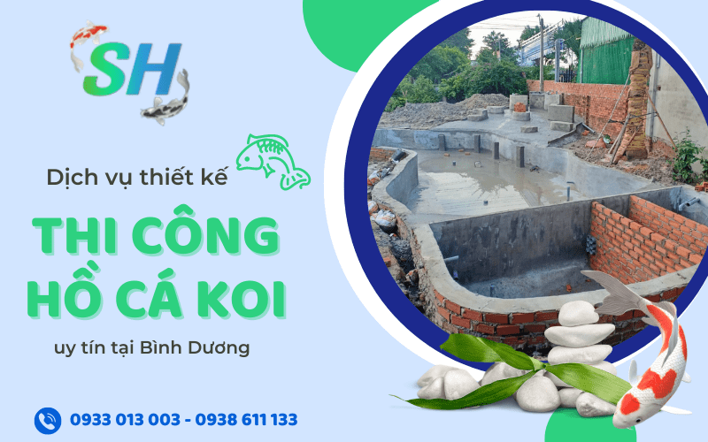 thiết kế thi công hồ cá koi