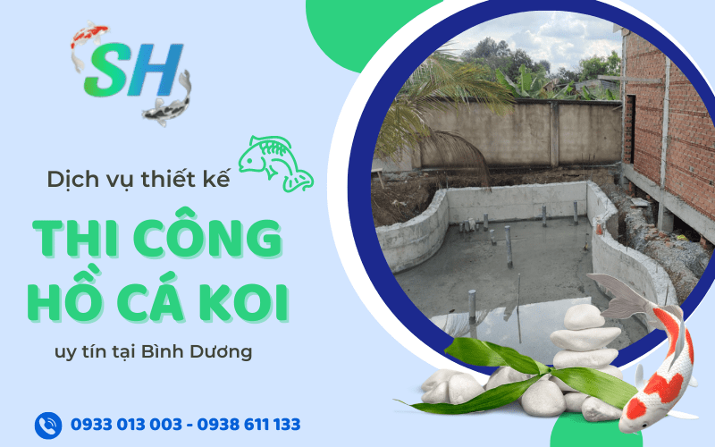 thiết kế thi công hồ cá koi