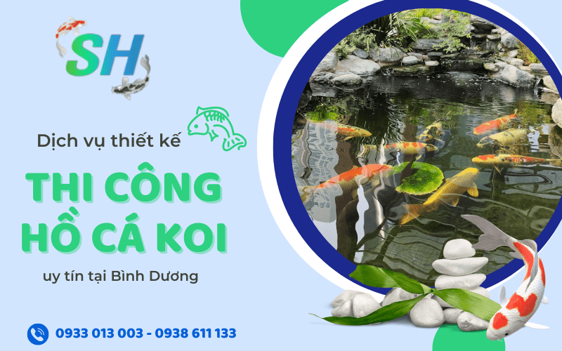 thiết kế thi công hồ cá koi