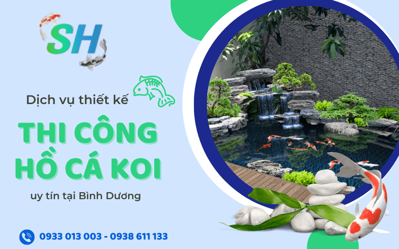 thiết kế thi công hồ cá koi