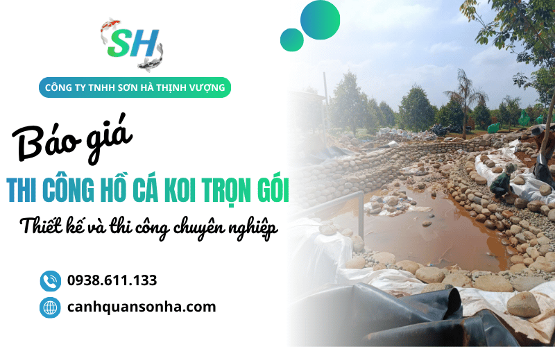thi công hồ cá Koi trọn gói