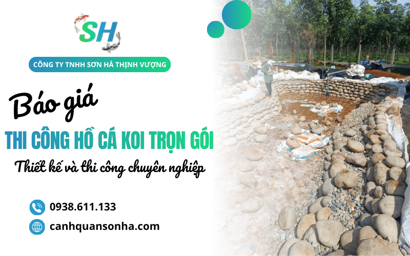 thi công hồ cá Koi trọn gói
