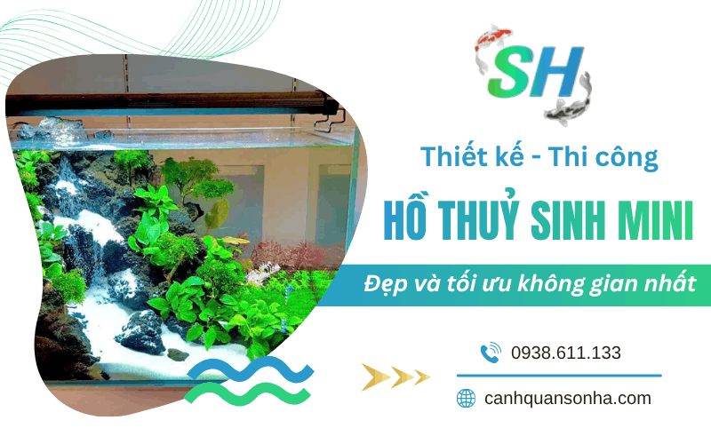 thi công hồ thuỷ sinh mini 