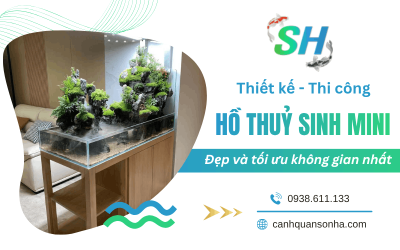 thi công hồ thuỷ sinh mini 