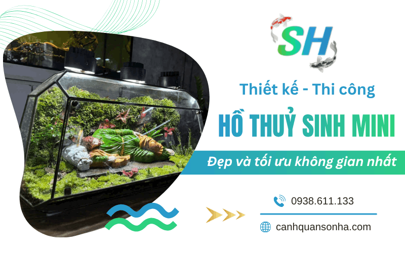 thi công hồ thuỷ sinh mini 