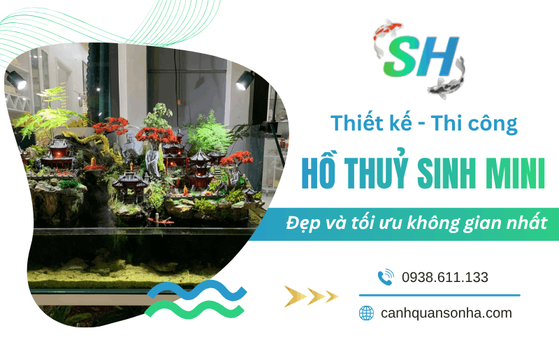 thi công hồ thuỷ sinh mini 