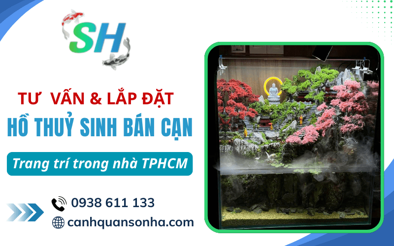 lắp đặt hồ thuỷ sinh bán cạn