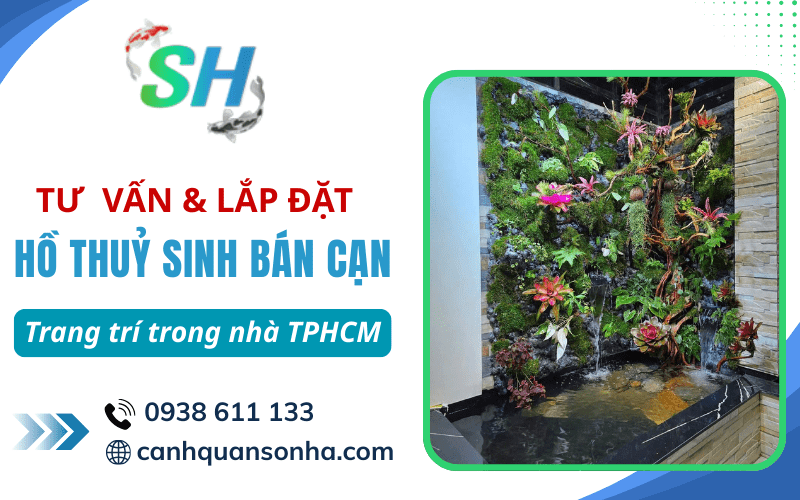 lắp đặt hồ thuỷ sinh bán cạn
