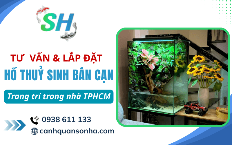 lắp đặt hồ thuỷ sinh bán cạn