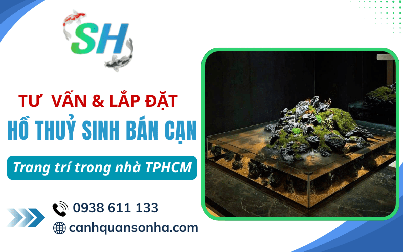 lắp đặt hồ thuỷ sinh bán cạn